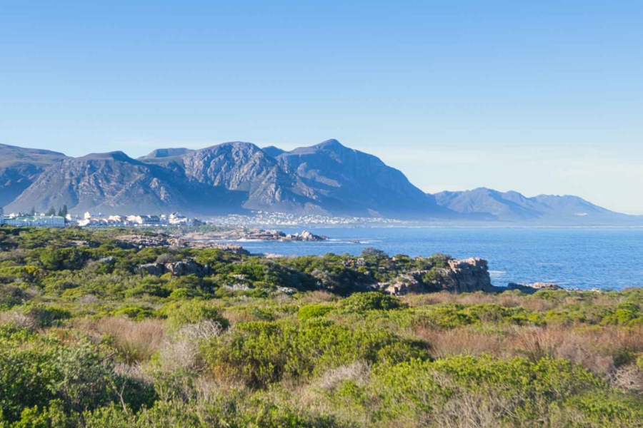 9 Bedroom Property for Sale in Westcliff Western Cape